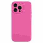 For iPhone 12 Pro Pure Color Liquid Silicone Fine Pore Phone Case(Pitaya) - 1
