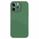For iPhone 11 Pro Max Pure Color Liquid Silicone Fine Pore Phone Case(Clover Green) - 1