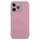 For iPhone 11 Pro Max Pure Color Liquid Silicone Fine Pore Phone Case(Black Currant) - 1