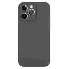 For iPhone 11 Pro Max Pure Color Liquid Silicone Fine Pore Phone Case(Charcoal Black) - 1