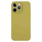 For iPhone 11 Pro Max Pure Color Liquid Silicone Fine Pore Phone Case(Willow Green) - 1