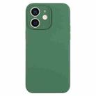 For iPhone 11 Pure Color Liquid Silicone Fine Pore Phone Case(Clover Green) - 1