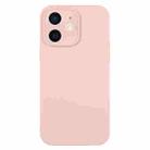 For iPhone 11 Pure Color Liquid Silicone Fine Pore Phone Case(Sand Pink) - 1