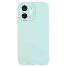 For iPhone 11 Pure Color Liquid Silicone Fine Pore Phone Case(Turquoise) - 1
