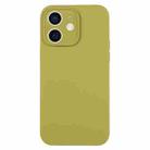 For iPhone 11 Pure Color Liquid Silicone Fine Pore Phone Case(Willow Green) - 1