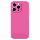 For iPhone 16 Pro Max Pure Color Liquid Silicone Fine Pore Phone Case(Pitaya) - 1