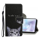 For Xiaomi Mi Note 10 Pro Colored Drawing Pattern Horizontal Flip Leather Case with Holder & Card Slots & Wallet(Little Cat) - 1