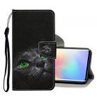 For Xiaomi Mi Note 10 Lite Colored Drawing Pattern Horizontal Flip Leather Case with Holder & Card Slots & Wallet(Black Cat) - 1