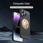 For iPhone 11 Honeycomb Hole Copper Cooling Phone Case with Lens Film(Black) - 3