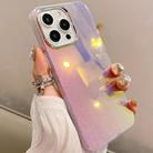 For iPhone 15 Pro Max Mirror Glitter IMD Phone Case(Silver) - 1