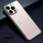 For iPhone 16 Pro Frosted Metal Phone Case(Gold) - 1