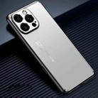 For iPhone 16 Pro Frosted Metal Phone Case(Silver) - 1