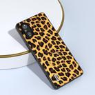 For Sony Xperia 5 V ABEEL Black Edge Leopard Phone Case(Golden Leopard) - 3