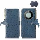 For Huawei Mate 60 Ostrich Pattern Genuine Leather RFID Phone Case(Blue) - 1