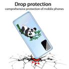 For Samsung Galaxy A41 Shockproof Painted TPU Protective Case(Panda) - 4