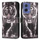 For Motorola Moto G85 Colored Drawing Pattern Plain Weave Leather Phone Case(Black And White Tiger) - 2