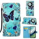 For Huawei Mate 60 Colored Drawing Pattern Plain Weave Leather Phone Case(Caring Butterfly) - 1