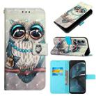 For Motorola Moto G14 3D Painting Horizontal Flip Leather Phone Case(Grey Owl) - 1