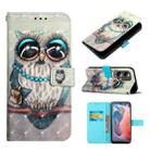 For Motorola Moto G Play 5G 2024 3D Painting Horizontal Flip Leather Phone Case(Grey Owl) - 1