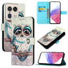 For Motorola Edge 50 Ultra 3D Painting Horizontal Flip Leather Phone Case(Grey Owl) - 1