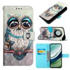 For Huawei Mate 60 3D Painting Horizontal Flip Leather Phone Case(Grey Owl) - 1