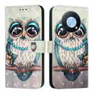 For Huawei Enjoy 50 Pro 4G / Nova Y90 3D Painting Horizontal Flip Leather Phone Case(Grey Owl) - 2