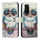 For Huawei P40 3D Painting Horizontal Flip Leather Phone Case(Grey Owl) - 2