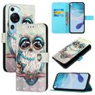 For Huawei P60 Art 3D Painting Horizontal Flip Leather Phone Case(Grey Owl) - 1