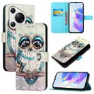 For Huawei Pura 70 3D Painting Horizontal Flip Leather Phone Case(Grey Owl) - 1