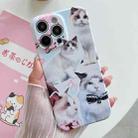 For iPhone 15 Pro Max PC Phone Case(White Cat) - 1