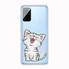 For Samsung Galaxy S20+ Shockproof Painted TPU Protective Case(Laughing Cat) - 1