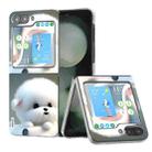 For Samsung Galaxy Z Flip5 ABEEL PC Paintings Pattern Phone Case(Dog) - 1