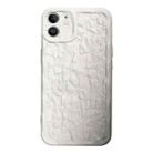 For iPhone 12 Electroplated 3D Stone Texture TPU Phone Case(White) - 1