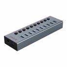 ORICO BT2U3-10AB-GY-BP 10 Ports USB 3.0 HUB with Individual Switches(EU Plug) - 1