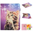 Colored Drawing Pattern Horizontal Flip PU Leather Case with Holder & Card Slot & Sleep / Wake-up Function For iPad Pro 10.2 2021 / 2020 / 2019 / 10.5 (2019)(Starry Cat) - 1