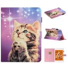 For iPad Mini 2019 & 4 & 3 & 2 & 1 Colored Drawing Pattern Horizontal Flip PU Leather Case with Holder & Card Slot & Sleep / Wake-up Function(Starry Cat) - 1