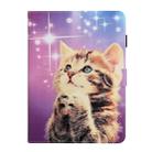 For iPad Mini 2019 & 4 & 3 & 2 & 1 Colored Drawing Pattern Horizontal Flip PU Leather Case with Holder & Card Slot & Sleep / Wake-up Function(Starry Cat) - 2