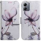 For Motorola Moto G14 Coloured Drawing Flip Leather Phone Case(Magnolia) - 1