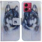 For Motorola Moto G84 Coloured Drawing Flip Leather Phone Case(White Wolf) - 1