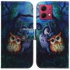 For Motorola Moto G84 Coloured Drawing Flip Leather Phone Case(Oil Painting Owl) - 1