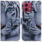 For Motorola Moto G84 Coloured Drawing Flip Leather Phone Case(Tiger) - 1