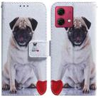 For Motorola Moto G84 Coloured Drawing Flip Leather Phone Case(Pug) - 1