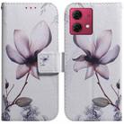 For Motorola Moto G84 Coloured Drawing Flip Leather Phone Case(Magnolia) - 1