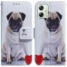 For Motorola Moto G54 Coloured Drawing Flip Leather Phone Case(Pug) - 1