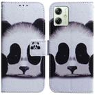 For Motorola Moto G54 Coloured Drawing Flip Leather Phone Case(Panda) - 1