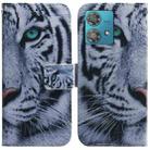 For Motorola Edge 40 Neo Coloured Drawing Flip Leather Phone Case(Tiger) - 1