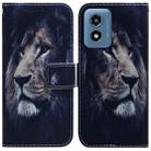 For Motorola Moto G Play 4G 2024 Coloured Drawing Flip Leather Phone Case(Lion) - 1