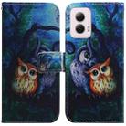 For Motorola Moto G Power 5G 2024 Coloured Drawing Flip Leather Phone Case(Oil Painting Owl) - 1