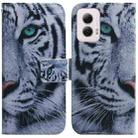 For Motorola Moto G Power 5G 2024 Coloured Drawing Flip Leather Phone Case(Tiger) - 1