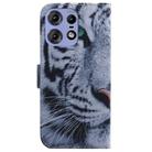 For Motorola Edge 50 Pro Coloured Drawing Flip Leather Phone Case(Tiger) - 3